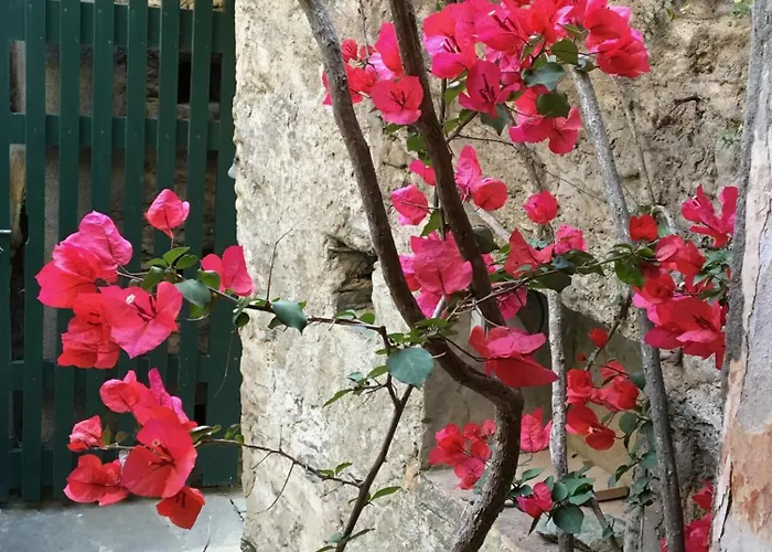 Casa Di Pruno * Morsiglia